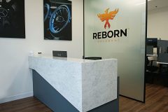 Reborn Langley