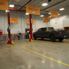Reborn-Langley-8-scaled