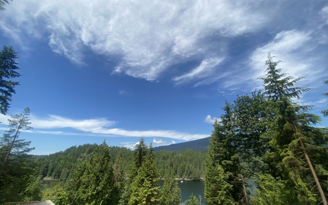 custom home building lot